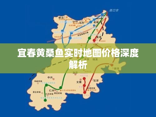 宜春黄桑鱼实时地图价格深度解析