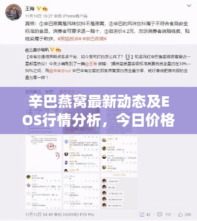 辛巴燕窝最新动态及EOS行情分析,今日价格走势揭秘