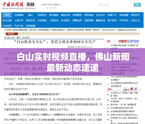 白山实时视频直播，佛山新闻最新动态速递