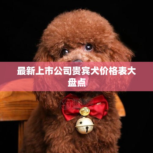 最新上市公司贵宾犬价格表大盘点