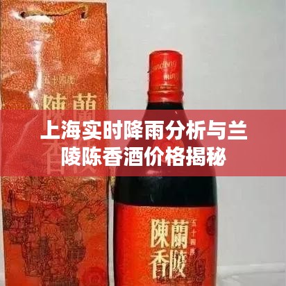 上海实时降雨分析与兰陵陈香酒价格揭秘