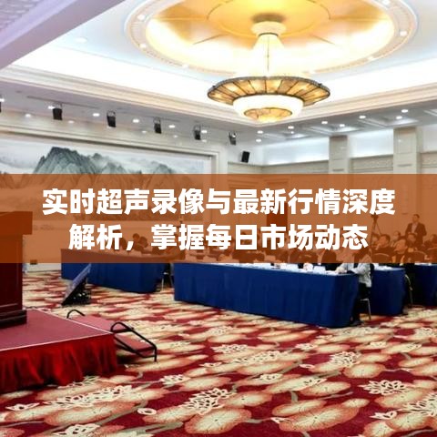实时超声录像与最新行情深度解析,掌握每日市场动态