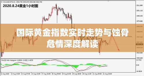 国际黄金指数实时走势与蚀骨危情深度解读