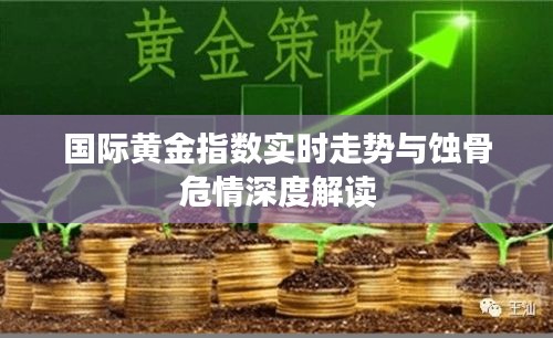 国际黄金指数实时走势与蚀骨危情深度解读