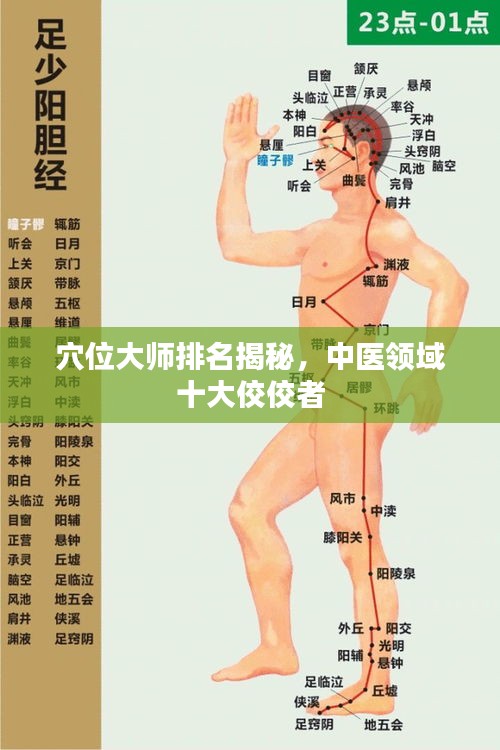 穴位大师排名揭秘,中医领域十大佼佼者