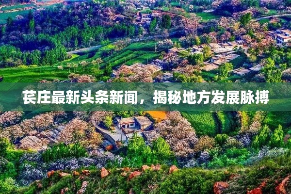 苌庄最新头条新闻，揭秘地方发展脉搏