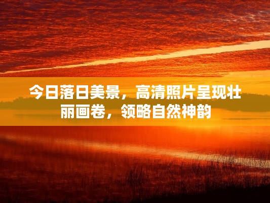 今日落日美景，高清照片呈现壮丽画卷，领略自然神韵