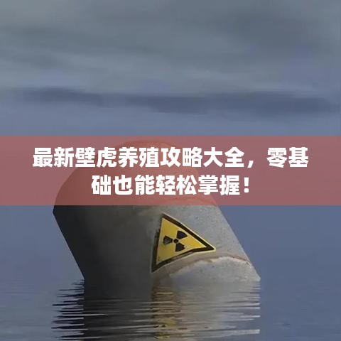 最新壁虎养殖攻略大全,零基础也能轻松掌握!