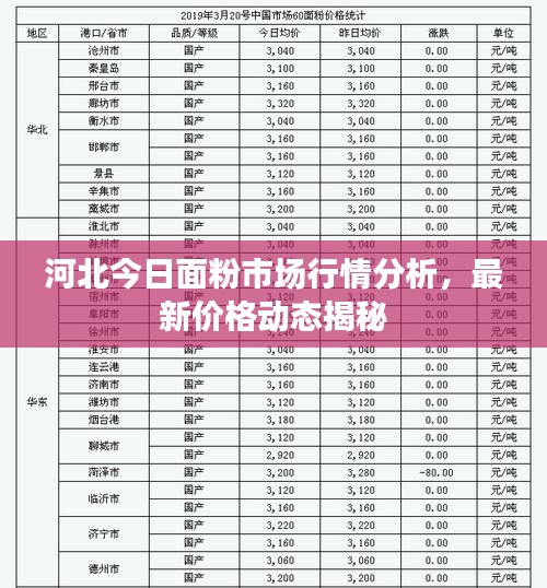河北今日面粉市场行情分析，最新价格动态揭秘