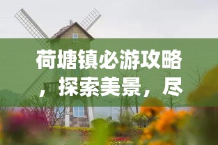 荷塘镇必游攻略,探索美景,尽享惬意度假!