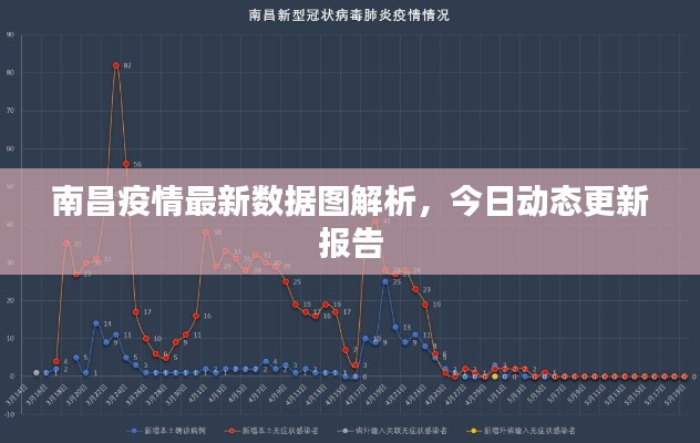 南昌疫情最新数据图解析,今日动态更新报告