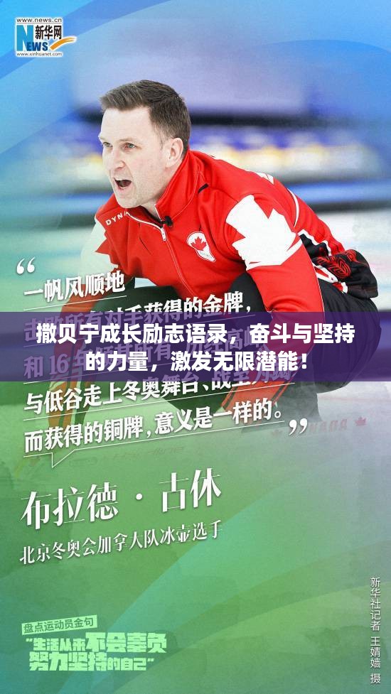 撒贝宁成长励志语录，奋斗与坚持的力量，激发无限潜能！