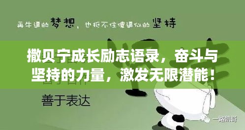 撒贝宁成长励志语录,奋斗与坚持的力量,激发无限潜能!
