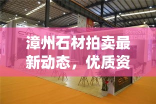 漳州石材拍卖最新动态，优质资源汇聚，引领行业风向标