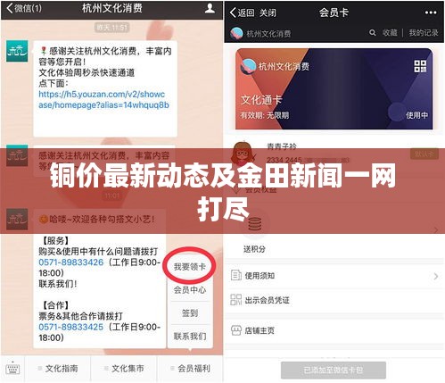 铜价最新动态及金田新闻一网打尽