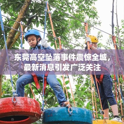 东莞高空坠落事件震惊全城，最新消息引发广泛关注