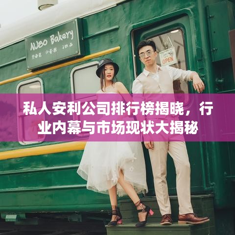 私人安利公司排行榜揭晓，行业内幕与市场现状大揭秘