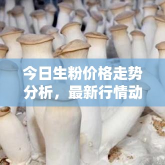 改弦易张 第2页