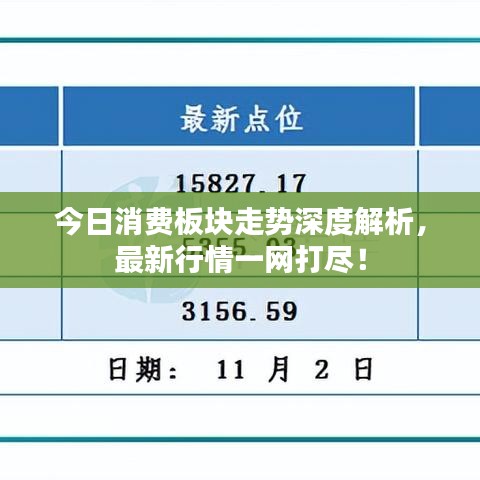 今日消费板块走势深度解析,最新行情一网打尽!