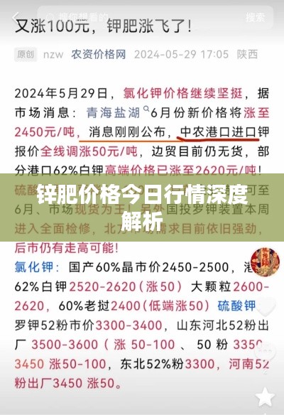 锌肥价格今日行情深度解析