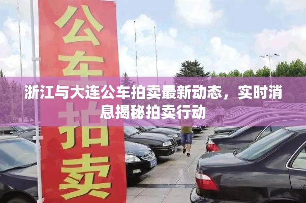 浙江与大连公车拍卖最新动态,实时消息揭秘拍卖行动