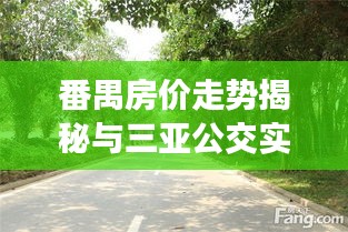 番禺房价走势揭秘与三亚公交实时查询，楼市动态出行便捷性大解析