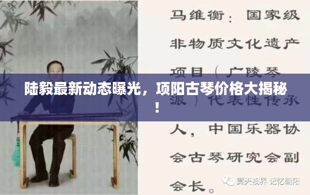 陆毅最新动态曝光,项阳古琴价格大揭秘!