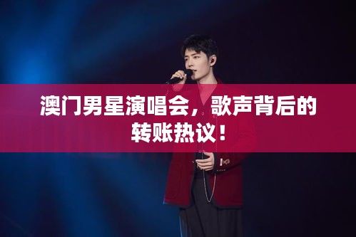 澳门男星演唱会,歌声背后的转账热议!