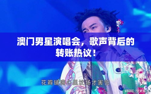 澳门男星演唱会,歌声背后的转账热议!