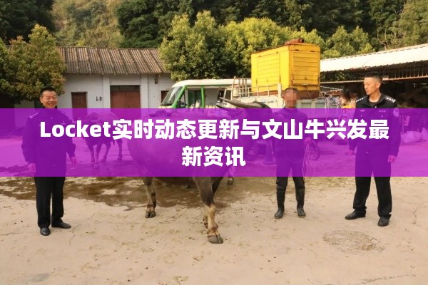 Locket实时动态更新与文山牛兴发最新资讯