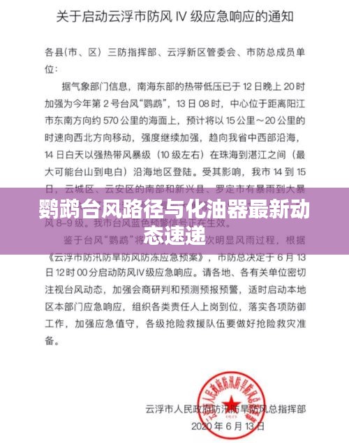 鹦鹉台风路径与化油器最新动态速递