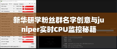 新华研学粉丝群名字创意与juniper实时CPU监控秘籍