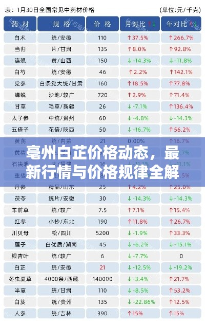 亳州白芷价格动态,最新行情与价格规律全解析
