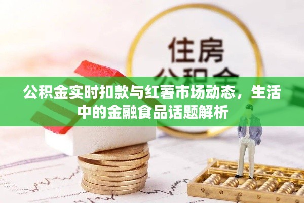 公积金实时扣款与红薯市场动态,生活中的金融食品话题解析