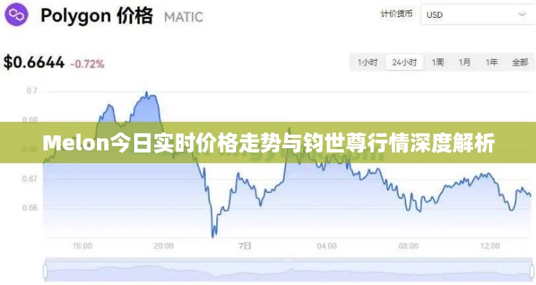 Melon今日实时价格走势与钧世尊行情深度解析