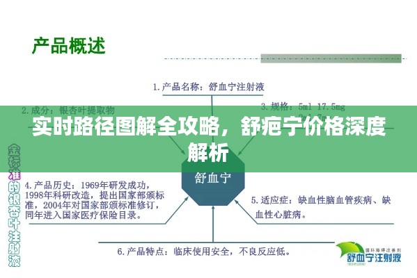 实时路径图解全攻略，舒疤宁价格深度解析