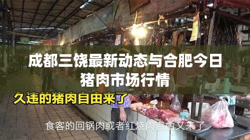 成都三饶最新动态与合肥今日猪肉市场行情
