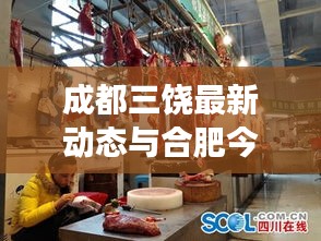 成都三饶最新动态与合肥今日猪肉市场行情