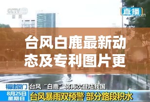 台风白鹿最新动态及专利图片更新报告速递
