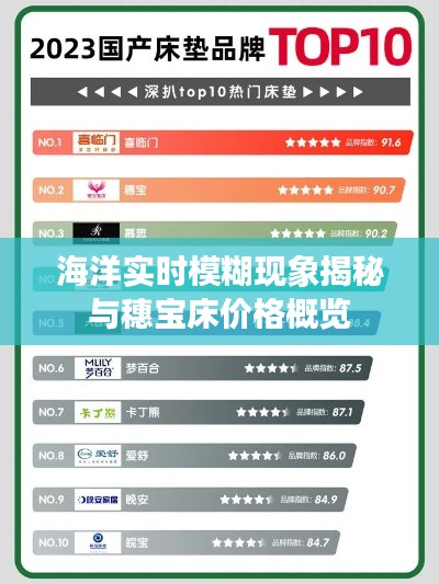 海洋实时模糊现象揭秘与穗宝床价格概览