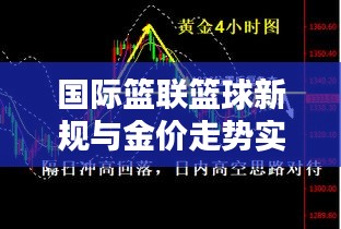 国际篮联篮球新规与金价走势实时关注