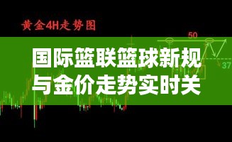 国际篮联篮球新规与金价走势实时关注