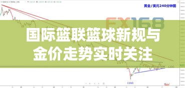 国际篮联篮球新规与金价走势实时关注