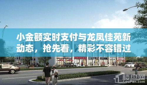 小金额实时支付与龙凤佳苑新动态,抢先看,精彩不容错过!