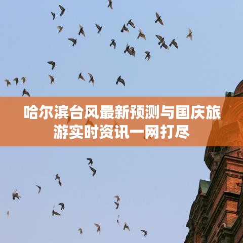 哈尔滨台风最新预测与国庆旅游实时资讯一网打尽