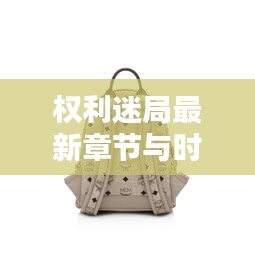 权利迷局最新章节与时尚帆布衣价格揭秘