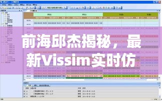 前海邱杰揭秘,最新Vissim实时仿真技术探秘