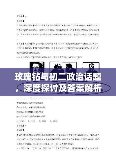 玫瑰钻与初二政治话题，深度探讨及答案解析