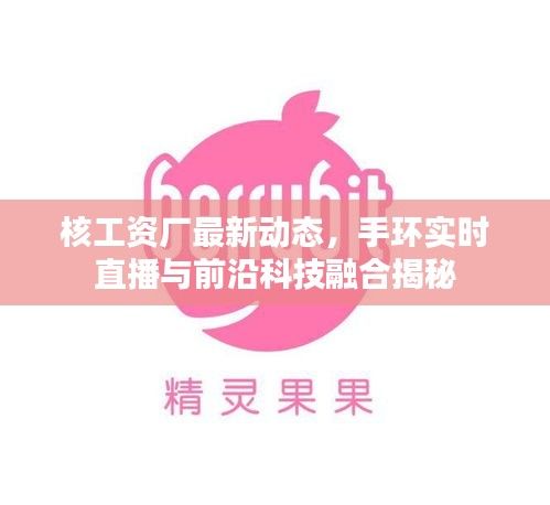 核工资厂最新动态,手环实时直播与前沿科技融合揭秘