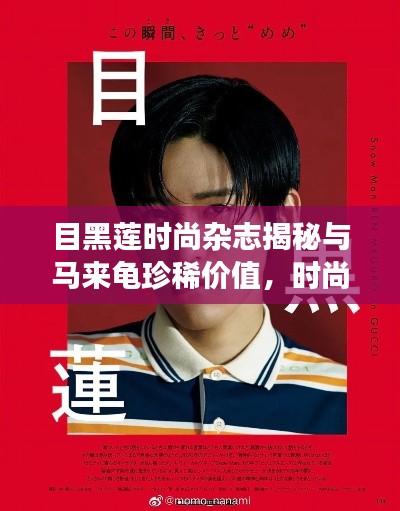 目黑莲时尚杂志揭秘与马来龟珍稀价值，时尚与动物的独特交汇